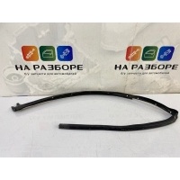 уплотнительная резинка на дверь Renault Duster HSM 2012 823880009R