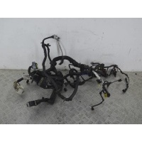 Проводка двигателя Nissan Qashqai (J10) (2006-2014) 2007 24011JD01C