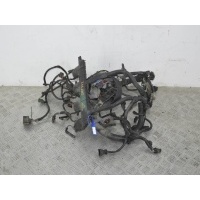 Проводка двигателя Renault Espace 4 (2003-2010) 2003 8200272453