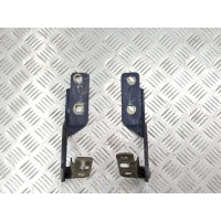 Петля капота Renault Megane 1999 834369/ 834370
