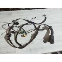 Проводка двери BMW 5 E60 2005 61126972577, 61126972584