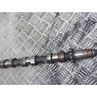 Распредвал Land Rover Freelander 2 2007- LR021914