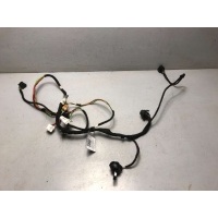 Проводка двери передней правой Audi A6 C5 (S6,RS6) 2002 4B0971029H, 4B0971029C