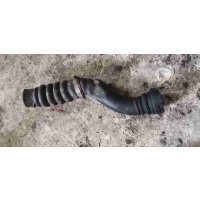 Патрубок интеркулера Renault Clio 3 (2005-2012) 2006 8200296596