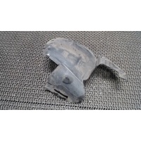 Защита арок (подкрылок) перед. левая Renault Clio 1998-2008 2006 8200067074