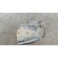 Защита арок (подкрылок) Renault Clio 2005-2009 2006 8200067075