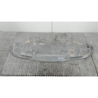 Защита моторного отсека (картера ДВС) Mercedes-Benz E-Class W211 2002-2009 2004 A2035243230