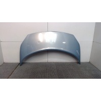 Капот Renault Scenic 2003-2009 2005 651001097R