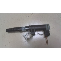 Катушка зажигания Renault Scenic 1996-2002 2002 224332597R