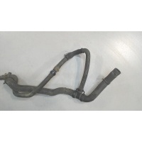 Патрубок охлаждения Renault Clio 2005-2009 2006 8200173007
