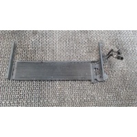 Радиатор масляный Volkswagen Tiguan 2007-2011 2007 5N0317019C