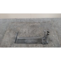 Радиатор масляный Volkswagen Tiguan 2007-2011 2009 5N0317019C