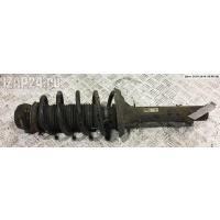 Амортизатор подвески Перед. Левая Audi A3 8L (1996-2003) 2002 1J0413031CP