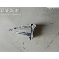 Петля крышки (двери) багажника Volkswagen Transporter 4 2001 701829641E
