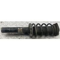 Амортизатор подвески Перед. Правая Volkswagen Passat B6 2007 3C0413031N
