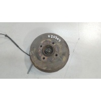 Ступица (кулак, цапфа) Renault Clio 2005-2009 2006 432021782R