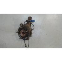 Ступица (кулак, цапфа) Land Rover Freelander 1 1998-2007 2002 ANR5817