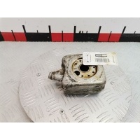 Теплообменник Audi A4 B5 (1994-2001) 1996 ,068117021B