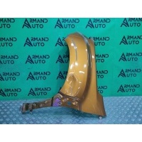 Крыло RENAULT DUSTER 2 2021 631019305R, 1
