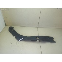 Ус под фары (планка декоративная) Renault Scenic II (2003-2009) 2004 8200187674