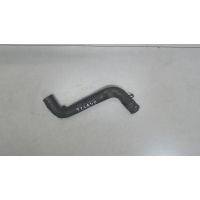 Патрубок охлаждения Renault Clio 2005-2009 2007 8200173003