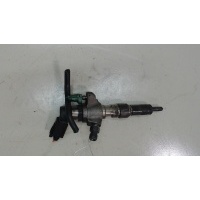 Форсунка топливная Peugeot 508 2012 9802448680