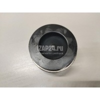 Поршень VAG Phaeton (2002 - 2016) 059107065CH
