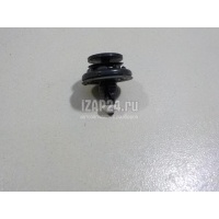 Крепеж (клоп) VAG Phaeton (2002 - 2016) 6Q0868243