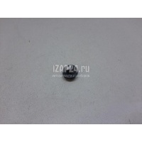 Крепеж (клоп) VAG Phaeton (2002 - 2016) 6Q0868243