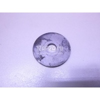 Шайба BMW X3 E83 (2004 - 2010) 31306763966