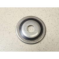 Шайба BMW X3 E83 (2004 - 2010) 31306763966