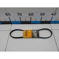 Ремень ручейковый Continental Civic (EJ, EK Sed+3HB) (1995 - 2001) 4PK850