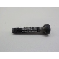 Болт форсунки Hyundai-Kia Terracan (2001 - 2007) 338004X530