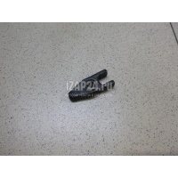 Кронштейн форсунки Hyundai-Kia Terracan (2001 - 2007) 338004X570