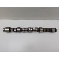 Распредвал Renault Megane I (1999 - 2004) 8200881281