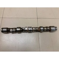 Распредвал Renault Megane I (1999 - 2004) 8200881281