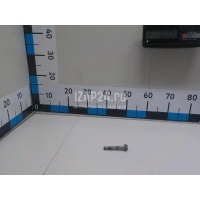 Болт переднего рычага Renault Megane I (1999 - 2004) 7703102041