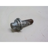 Болт распредвала Citroen-Peugeot 407 (2004 - 2010) 080644