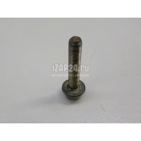 Болт клапанной крышки Renault Espace IV (2002 - 2014) 7703002637