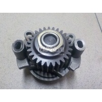Насос водяной (помпа) Nissan Espace IV (2002 - 2014) 2101000QAD