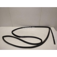 Уплотнитель двери Hyundai-Kia RIO (2005 - 2011) 831301G200