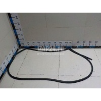 Уплотнитель двери Hyundai-Kia RIO (2005 - 2011) 831301G200