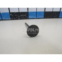 Клапан впускной VAG Golf Plus (2005 - 2014) 06D109601M