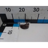 Натяжитель цепи VAG Rapid (2013 - ) 03C109507AD