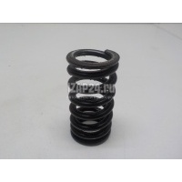 Пружина клапана VAG Golf Plus (2005 - 2014) 06E109623H