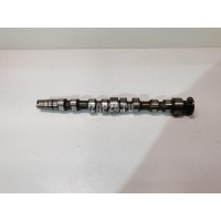 Распредвал выпускной VAG Golf Plus (2005 - 2014) 036109101AA