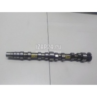 Распредвал выпускной VAG Golf Plus (2005 - 2014) 036109101AA