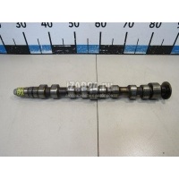 Распредвал выпускной VAG Octavia (A5 1Z-) (2004 - 2013) 036109101AA