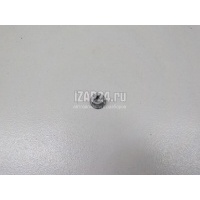 Гайка VAG Golf Plus (2005 - 2014) N10205802