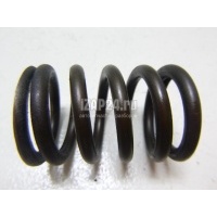 Пружина клапана GM Astra F (1991 - 1998) 90412706